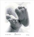 Kit, Baby Feet Birth Record by Vervaco