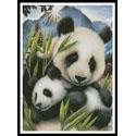 Panda and Cub