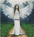 Storm Angel