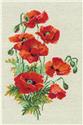 Wild Poppies
