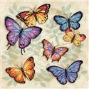 Butterfly Profusion