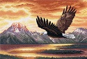 Silent Flight