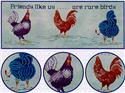 Rare Birds