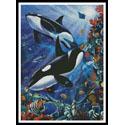 Orcas