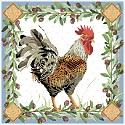 Rooster
