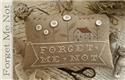 Pattern, Forget Me Not by With Thy Needle & Thread