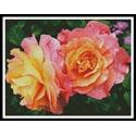 Roses in a Garden