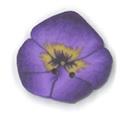 Beads, Buttons & Charm, Tiny Purple Pansy Button by Just Another Button Company
