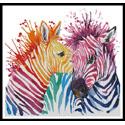 Colourful Zebras