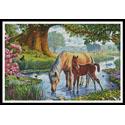 Fell Ponies