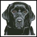 Pattern, Mini Black Labrador by Artecy Cross Stitch
