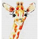 Baby, by Delphine Sutherland