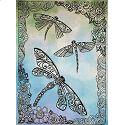 Dragonflies in Colour, by Angela Porter