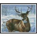 Whitetail Buck (Large)