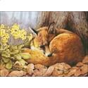 Forest Fox