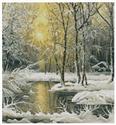 Golden Winter Lake - Crop