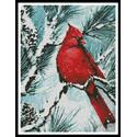 Winter's Glory Red Bird - Crop