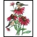 Chickadees on Coneflowers