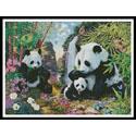 Panda Valley