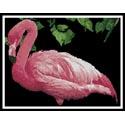 Pink Flamingo 2