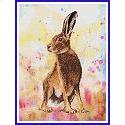 Hare, by Caroline Lord O'Donovan