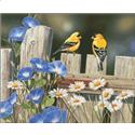 Pattern, Small Morning Glories And Finches by Charting Creations