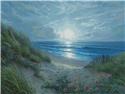 Evening Glories - Large