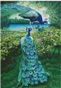 Peacocks