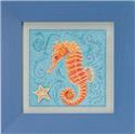 Seahorse Kit