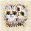 Little Owls
