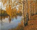 Pattern, Birch Tree by Artecy Cross Stitch