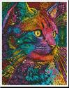 Felis
