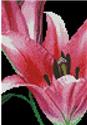 Pattern, Mini Pink Lily by Artecy Cross Stitch