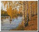 Pattern, Serenity Birch Tree by Artecy Cross Stitch