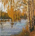 Pattern, Serenity Birch Tree - Crop by Artecy Cross Stitch
