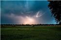 Pattern, Field of Lightning by The Frame Corner