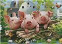 Three Little Pigs