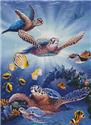 Turtles in Light