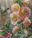 Ruby Throated Hummingbird & Hollyhocks - Crop