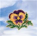 Tricolor Pansy