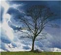 Stormy Tree
