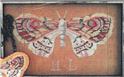 H.L.'s Moth