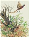 Pheasants