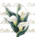 Pattern, Calla Lilies by Bobbie G Designs