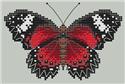 Lacewing
