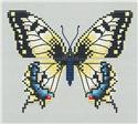 Yellow Swallowtail