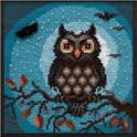 Midnight Owl Kit