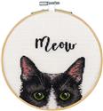 Kit, Meow by Dimensions