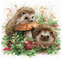 Hedgehogs In Lingonberries