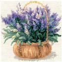 French Lavender